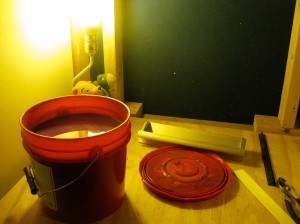 The darkroom table with emulsion bucket and scoop coater, complete with Winnie the Pooh/Eeyore lamp.